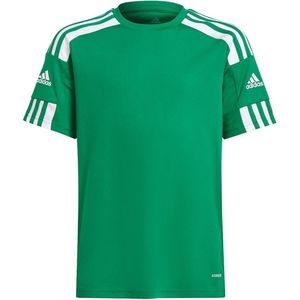adidas - Squadra Jersey Youth - Voetbalshirt groen - 116 - Groen