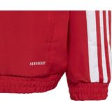 adidas - Squadra 21 Presentation Jacket - Team Power Red - Jacks