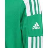 adidas - Squadra 21 - Voetbaltrui Kinder - Groen - AEROREADY, Primegreen, Kangoeroezak