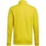 Sportsweatshirt 'Squadra 21'