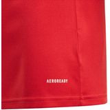 Adidas - Squadra 21 - Kindertrui - Zwart - 100% Gerecycled Polyester