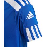 Adidas Squadra Polo Kinderen - Royal Wit