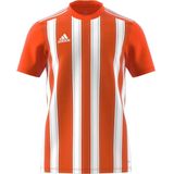Adidas - Striped 21 Shirt - Korte Mouw - Oranje / Wit
