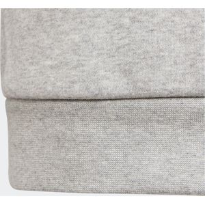 adidas Originals Adicolor Hoodie - Kinderen - Grijs