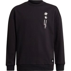 Adidas - Arkd3 - Sweatshirt - Zwart - 60% Katoen, 30% Gerecycled Polyester, 10% Gerecycled Katoen