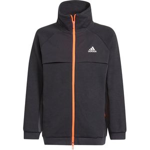Adidas Xfg Sweatshirt - Zwart - Katoen - Losse Trainingsjas