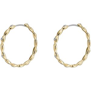 Fossil - Sutton - Oorbellen - Goudkleurig - RVS