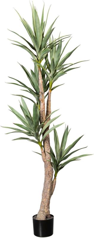 Creativ green Künstliche Zimmerpflanze »Dracaena«