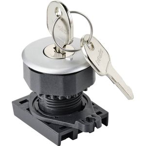 Tru Components S3KF-2FS Sleutelschakelaar frontelement sleutel zilver 1 x 90° 1 st., Knoppen + Schakelaars, Zilver