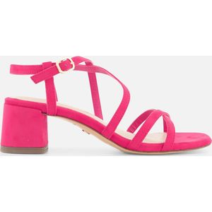 Pleaser - CRAZE-1040 Plateau Laarzen, Paaldans schoenen - US 9 - 39 Shoes - Roze