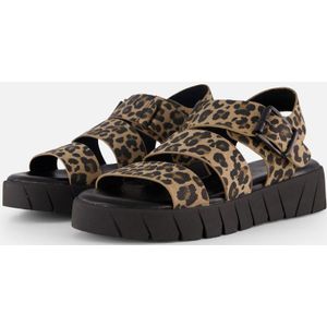 s.Oliver Damen Sandale flach, multicolor(LEOPARD), 42
