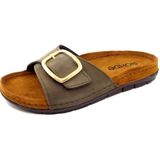 Rohde Pantolette