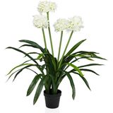 Kunstpflanze Kunstpflanze AGAPANTHUS Kunststoff Lilie, hjh OFFICE, Höhe 100.0 cm, Künstliche Zimmerpflanze Lilie im Topf, Kunstblume Schmucklilie