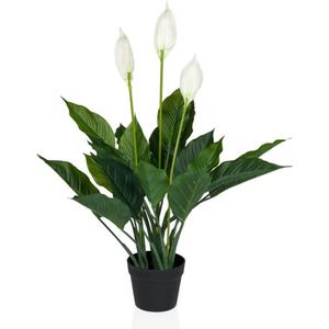 SPATHIPHYLLUM - Kunstplant Groen / Wit