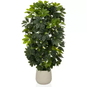 Planten hornbach - online kopen? | Korting tot 40% | beslist.be