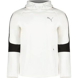 Puma Evostripe Sweatshirt