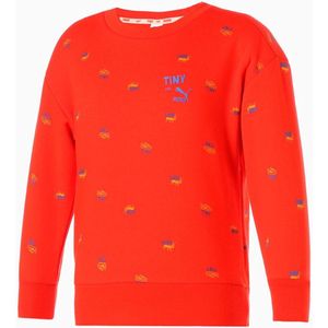 Children' sweatshirt puma toddler,