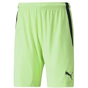 PUMA Korte broek merk model TeamLIGA shorts