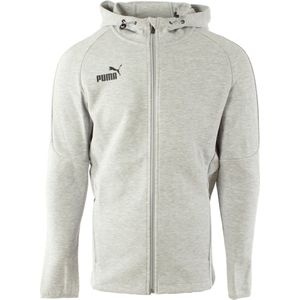 PUMA Heren Teamfinal Casuals Hooded Jkt Sweatshirt