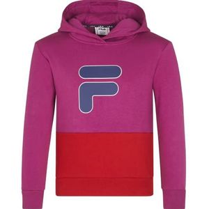 FILA Uniseks Bielefeld Hoody met capuchon voor kinderen, Wild Aster-True Red, 86/92 cm