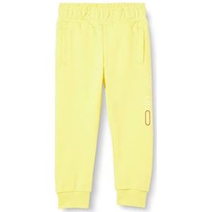 FILA Unisex SALZKOTTEN Sweat vrijetijdsbroek, Limelight, 98/104, limelight