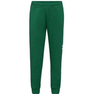 FILA Uniseks balboa vrijetijdsbroek voor kinderen, Verdant green., 98-104