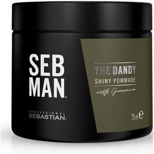 Sebastian Professional Seb Man The Dandy Pommade (75 ml)