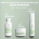 Wella Professionals Elements Renewing Shampoo ohne Sulfate und Silikone – beruhigende Haarpflege für empfindliche Kopfhaut – mit Aloe Vera und Vitmain E – 1 l