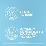 Wella - Invigo Scalp Balance - Shampoo - 300 ml - Voor Vette Hoofdhuid