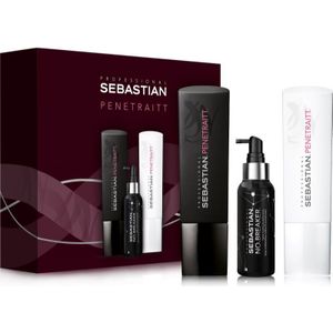 Sebastian Professional Penetraitt Gift Set voor Beschadigd, Chemisch Behandeld Haar