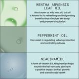 Nioxin - Scalp Recovery Kit - 200ml Shampoo - 200ml Conditioner - 100ml Treatment