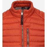 CASA MODA - Comfort Fit - Bodywarmer - Oranje