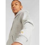 Carhartt WIP Sweatshirt 'Chase'  grijs