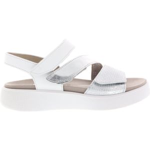 Gabor comfort  - 22.862.51 für Damen, silber, Gr. 42 ½ EU / 8,5 UK