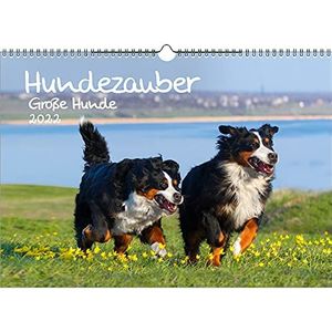 Seelenzauber Honden Magie Grote Honden DIN A3 Kalender Voor 2022 Puppy's En Honden