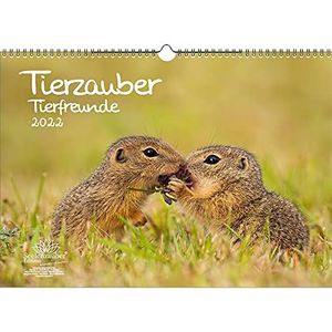 Animal Magic Animal Friends Kalender A3 voor 2022 verschillende dieren en vriendschappen