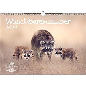 Wasbeer Magic DIN A3 kalender voor wasbeer 2022