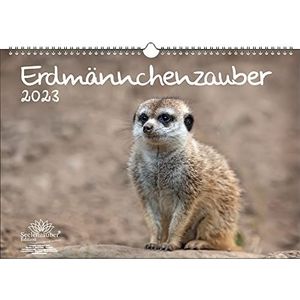 Gondstaartzauber KN2023-3W-0026-D-0, DIN A3-kalender voor stokstaartjes in 2023, meerkleurig