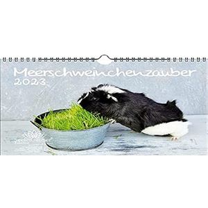 Cavia-kalender A4 2023 - Seelenzauber