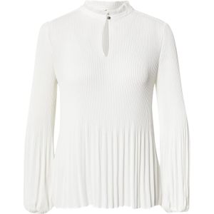 Chiffon - Blouse - Plooien