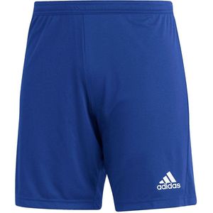 Adidas Entrada 22 Short Heren - Royal