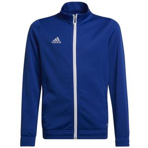 Adidas Entrada 22 - Trainingsjack - Zwart - Synthetisch