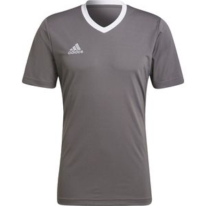 adidas - Entrada 22 - Sporttop - Team Grey Four - XXL