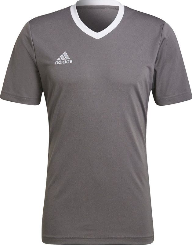adidas Performance Entrada Voetbalshirt - Heren - Grijs