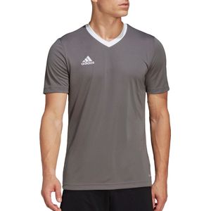 adidas Performance Entrada Voetbalshirt - Heren - Grijs