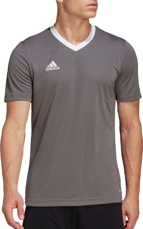 adidas - Entrada 22 - Sporttop - Team Grey Four - XXL