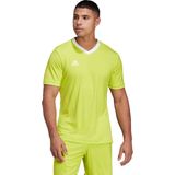 Adidas - Entrada 22 - Shirt - Fluogeel - Korte Mouw - Heren