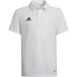 adidas - Entrada Polo Youth - Voetbalpolo Kids-152
