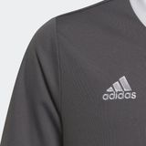 adidas Performance Entrada Voetbalshirt - Kinderen - Grijs - 164