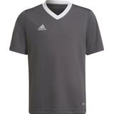 adidas Performance Entrada Voetbalshirt - Kinderen - Grijs - 164